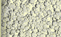 OPAL3