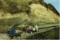 bornholm1.gif - 20021 Bytes