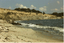 bornholm2.gif - 16463 Bytes